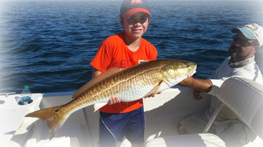 Big redfish